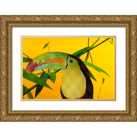 Toucan Yellow Gold Ornate Wood Framed Art Print with Double Matting by Phillip, Jamie