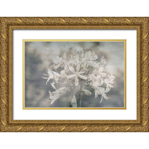 Garden Escape Gold Ornate Wood Framed Art Print with Double Matting by Phillip, Jamie