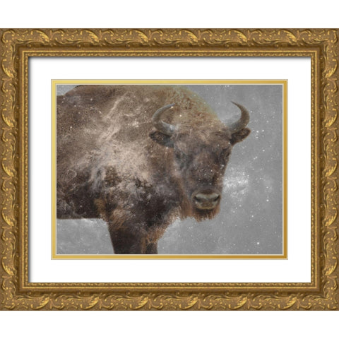 Trad Buff Gold Ornate Wood Framed Art Print with Double Matting by Phillip, Jamie