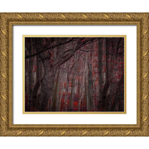 Fall Woods Gold Ornate Wood Framed Art Print with Double Matting by Phillip, Jamie