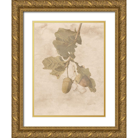 On The Trail Gold Ornate Wood Framed Art Print with Double Matting by Phillip, Jamie