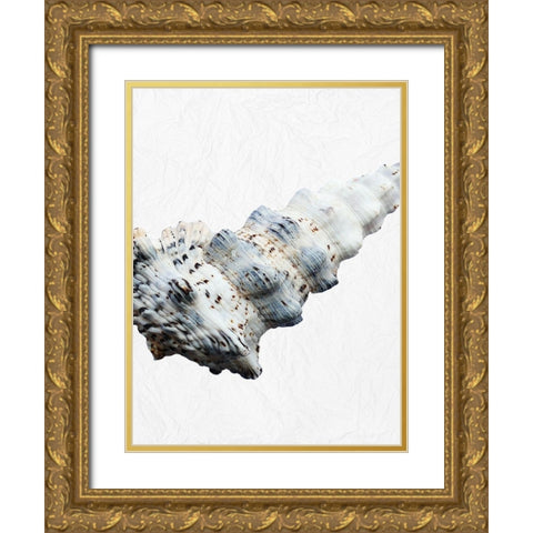 Special Shell 3 Gold Ornate Wood Framed Art Print with Double Matting by Phillip, Jamie