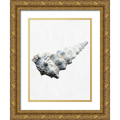 Special Shell 4 Gold Ornate Wood Framed Art Print with Double Matting by Phillip, Jamie