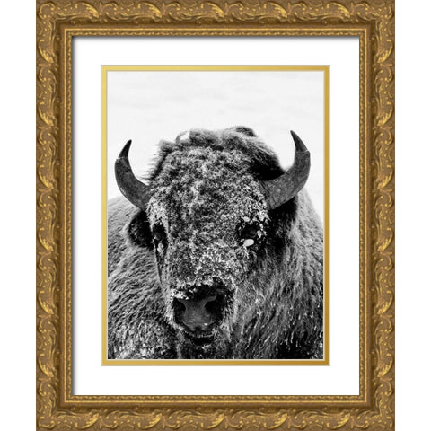 Snow Motion Gold Ornate Wood Framed Art Print with Double Matting by Phillip, Jamie