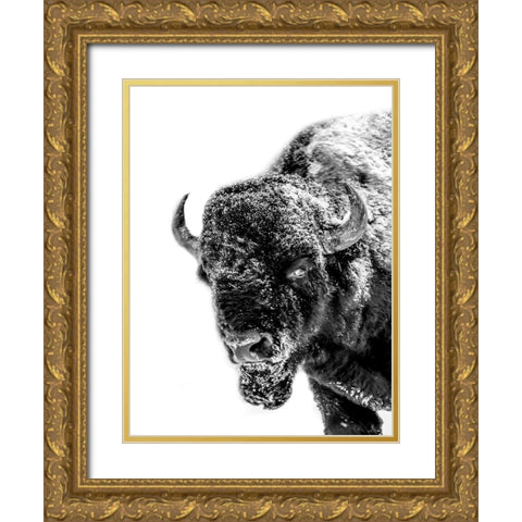 Snow Motion 2 Gold Ornate Wood Framed Art Print with Double Matting by Phillip, Jamie