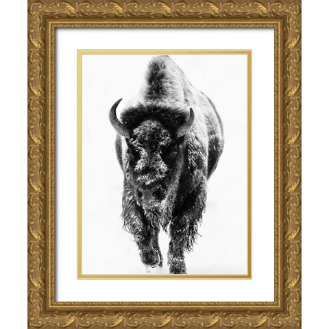 Snow Motion 3 Gold Ornate Wood Framed Art Print with Double Matting by Phillip, Jamie