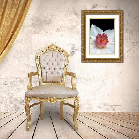 Spectanva 2 Gold Ornate Wood Framed Art Print with Double Matting by Phillip, Jamie