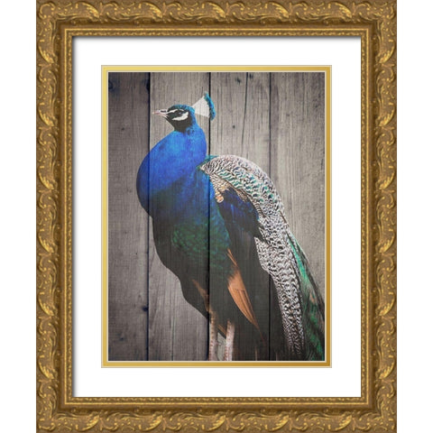 Pecock Gold Ornate Wood Framed Art Print with Double Matting by Phillip, Jamie