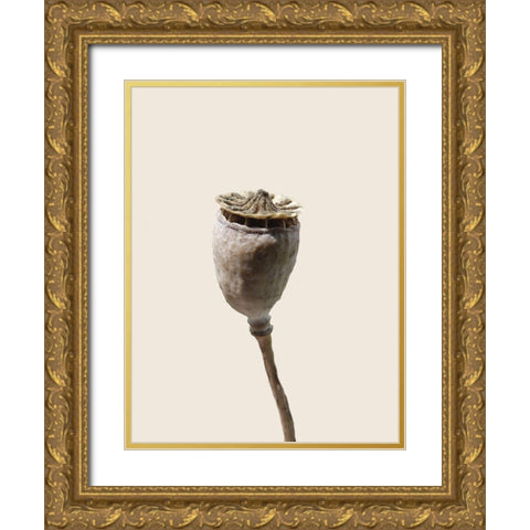 CalIveni 2 Gold Ornate Wood Framed Art Print with Double Matting by Phillip, Jamie