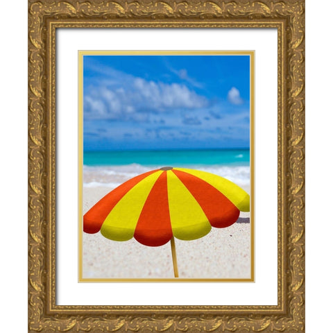 Beach Cat Gold Ornate Wood Framed Art Print with Double Matting by Phillip, Jamie