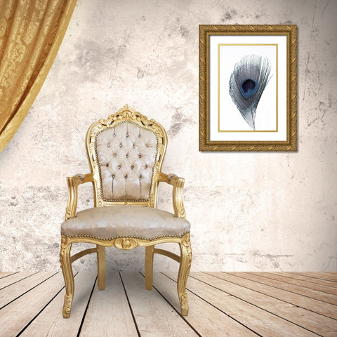 Feather Gold Ornate Wood Framed Art Print with Double Matting by Phillip, Jamie