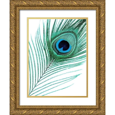 Feather Gold Ornate Wood Framed Art Print with Double Matting by Phillip, Jamie
