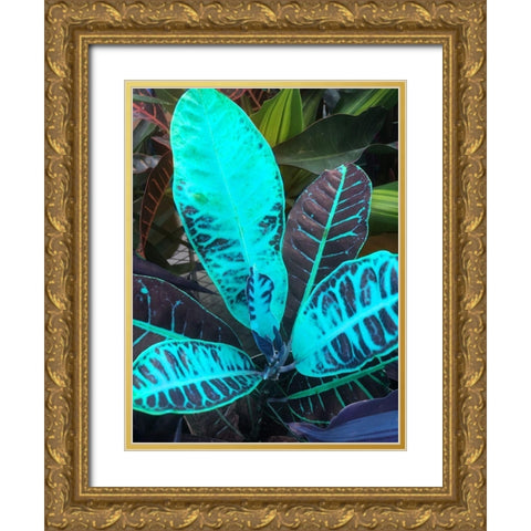 Tropical 1 Gold Ornate Wood Framed Art Print with Double Matting by Phillip, Jamie