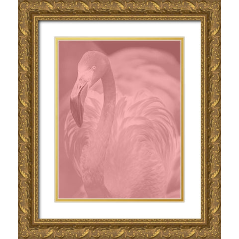 Pink Flamingo Gold Ornate Wood Framed Art Print with Double Matting by Phillip, Jamie
