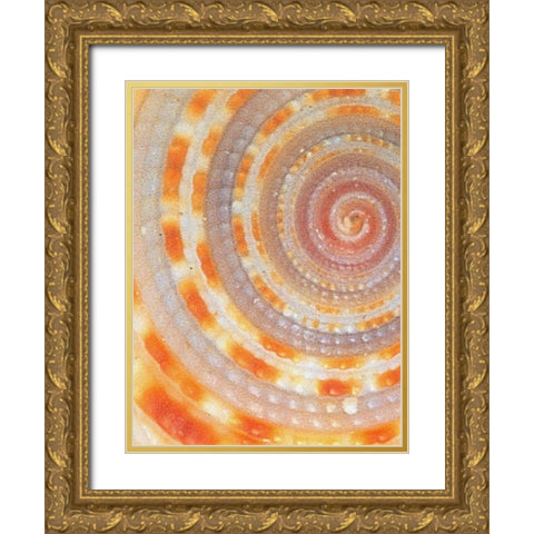 Wilks Gold Ornate Wood Framed Art Print with Double Matting by Phillip, Jamie