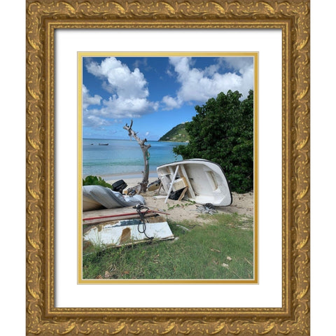BVI 1  Gold Ornate Wood Framed Art Print with Double Matting by Phillip, Jamie