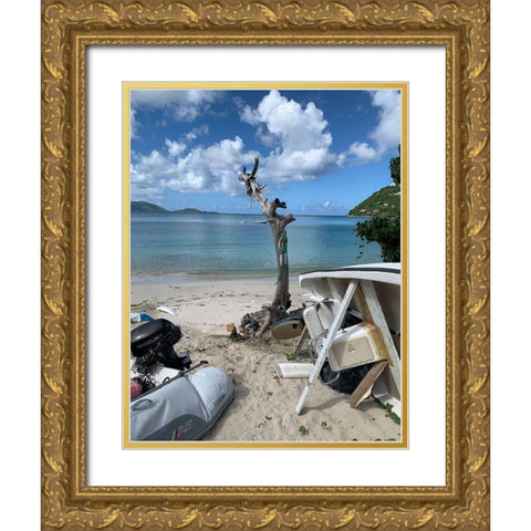 BVI 2 Gold Ornate Wood Framed Art Print with Double Matting by Phillip, Jamie