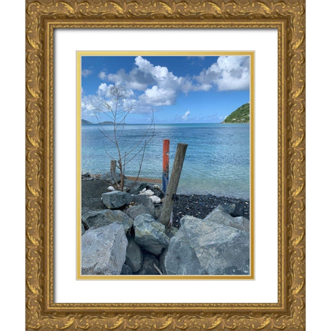 BVI 3 Gold Ornate Wood Framed Art Print with Double Matting by Phillip, Jamie