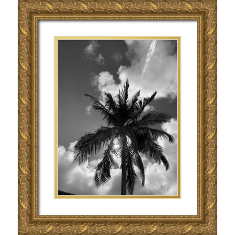 BVI 4 Gold Ornate Wood Framed Art Print with Double Matting by Phillip, Jamie