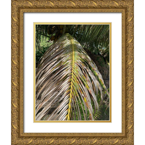 BVI 5 Gold Ornate Wood Framed Art Print with Double Matting by Phillip, Jamie
