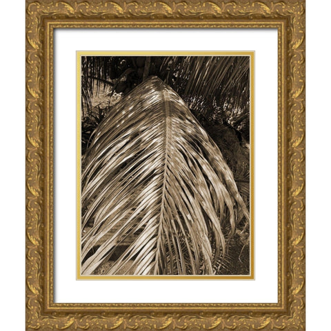 BVI 6 Gold Ornate Wood Framed Art Print with Double Matting by Phillip, Jamie