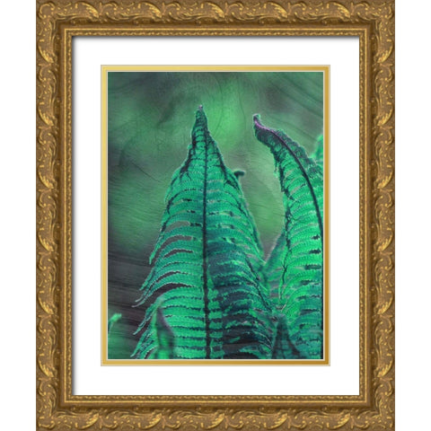 Grove 1 Gold Ornate Wood Framed Art Print with Double Matting by Phillip, Jamie