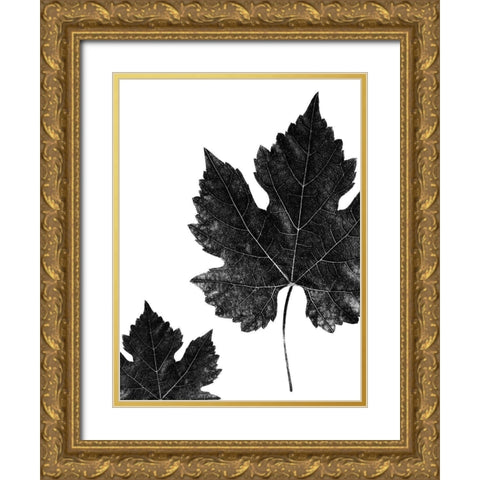Shaded Leaf 1 Gold Ornate Wood Framed Art Print with Double Matting by Phillip, Jamie