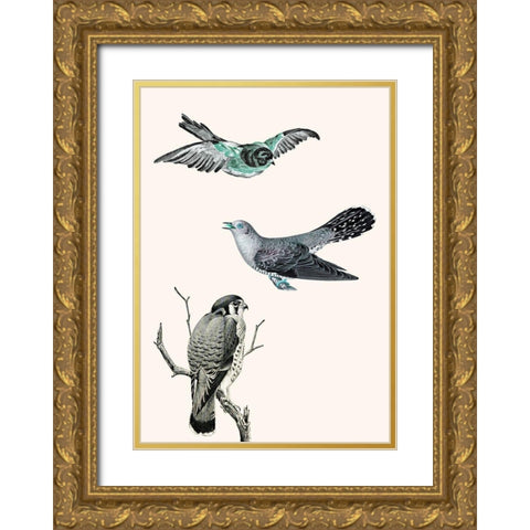 Birds 1 Gold Ornate Wood Framed Art Print with Double Matting by Phillip, Jamie