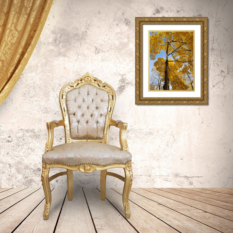 Silent Nature 1 Gold Ornate Wood Framed Art Print with Double Matting by Phillip, Jamie