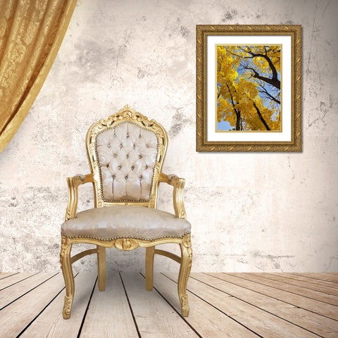 Silent Nature 2 Gold Ornate Wood Framed Art Print with Double Matting by Phillip, Jamie