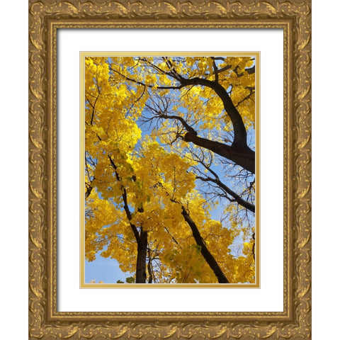 Silent Nature 2 Gold Ornate Wood Framed Art Print with Double Matting by Phillip, Jamie