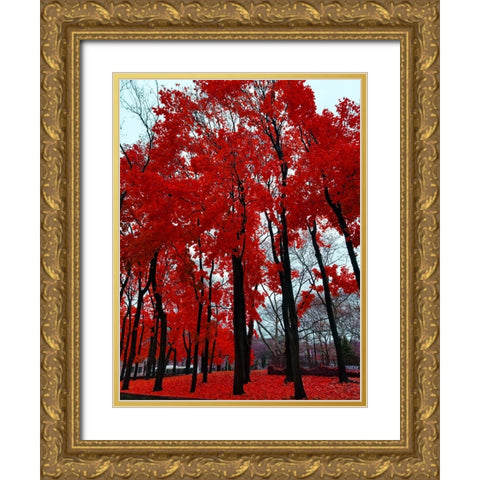 Silent Nature 4 Gold Ornate Wood Framed Art Print with Double Matting by Phillip, Jamie