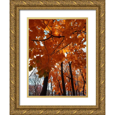 Silent Nature 5 Gold Ornate Wood Framed Art Print with Double Matting by Phillip, Jamie