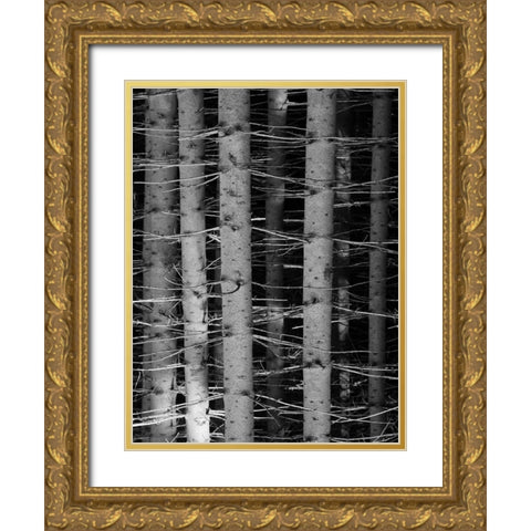 Dark Woods Gold Ornate Wood Framed Art Print with Double Matting by Phillip, Jamie