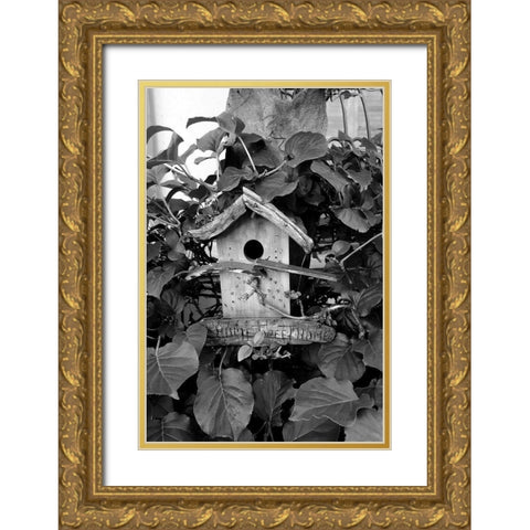 Bird House Gold Ornate Wood Framed Art Print with Double Matting by Phillip, Jamie