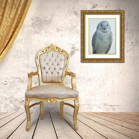 Owlways Gold Ornate Wood Framed Art Print with Double Matting by Phillip, Jamie