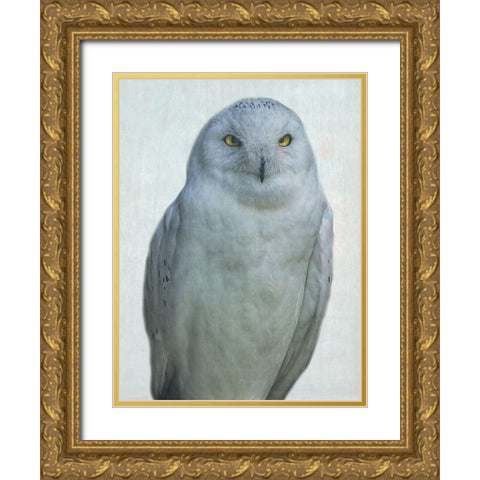 Owlways Gold Ornate Wood Framed Art Print with Double Matting by Phillip, Jamie