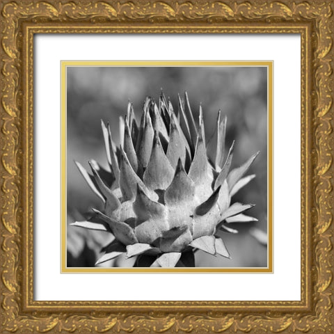 Artichoke 2 Gold Ornate Wood Framed Art Print with Double Matting by Phillip, Jamie