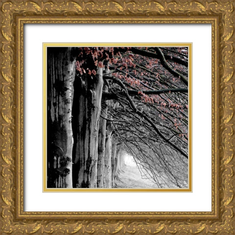 BW and Color Gold Ornate Wood Framed Art Print with Double Matting by Phillip, Jamie