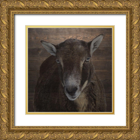 Sheeper Keep Gold Ornate Wood Framed Art Print with Double Matting by Phillip, Jamie