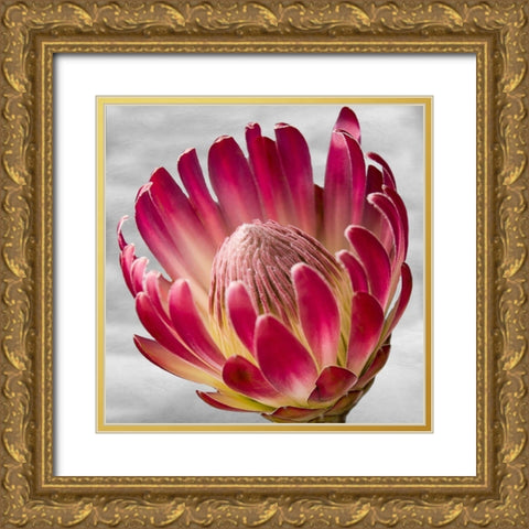 Floral Poetry Gold Ornate Wood Framed Art Print with Double Matting by Phillip, Jamie