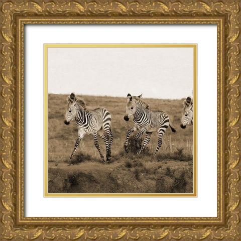 Young Runners Gold Ornate Wood Framed Art Print with Double Matting by Phillip, Jamie