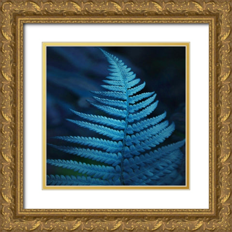 Caribbean Night Gold Ornate Wood Framed Art Print with Double Matting by Phillip, Jamie