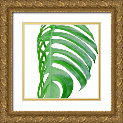 Pop up 3 Gold Ornate Wood Framed Art Print with Double Matting by Phillip, Jamie