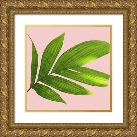 Mellow Mood 2 Gold Ornate Wood Framed Art Print with Double Matting by Phillip, Jamie