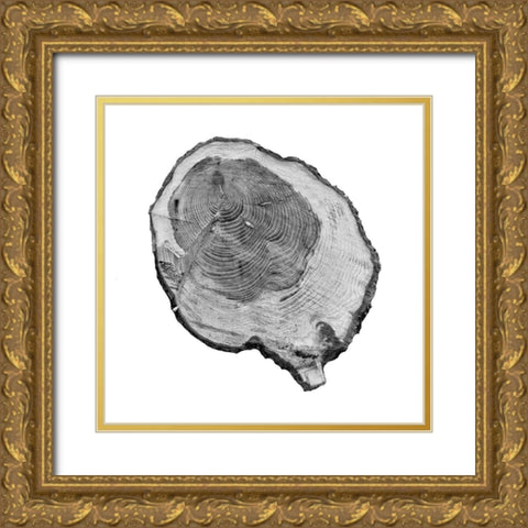 Old Rings Gold Ornate Wood Framed Art Print with Double Matting by Phillip, Jamie