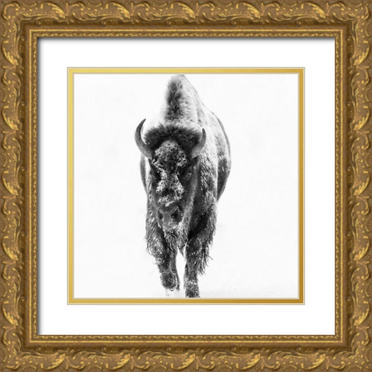 Perspective Image