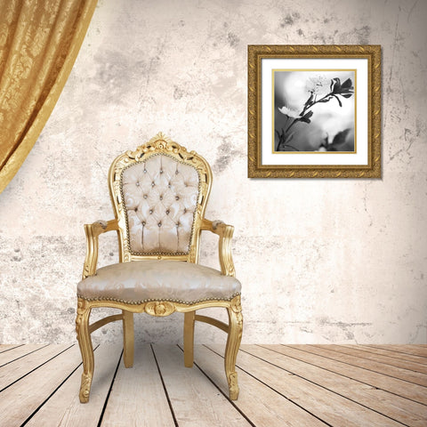 Blooming Black Gold Ornate Wood Framed Art Print with Double Matting by Phillip, Jamie