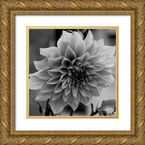 Dagenuem Gold Ornate Wood Framed Art Print with Double Matting by Phillip, Jamie
