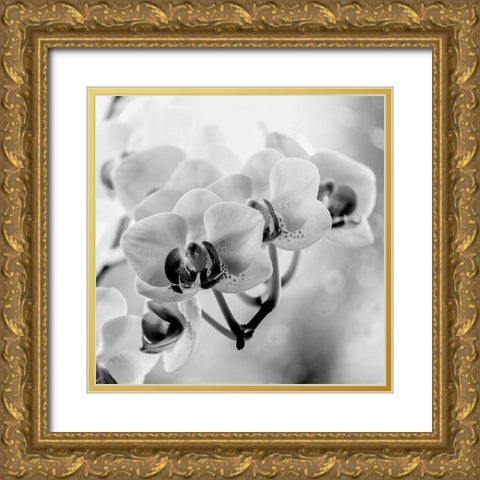 Blenkis Gold Ornate Wood Framed Art Print with Double Matting by Phillip, Jamie